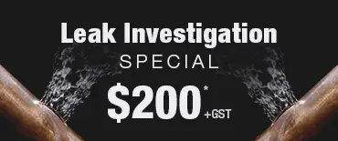 Leak Investigation Discount Kelston